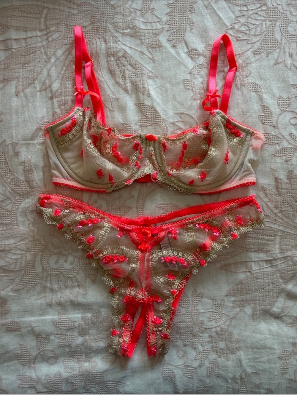 Sheer Lace Embroidered Bra & Thong Set